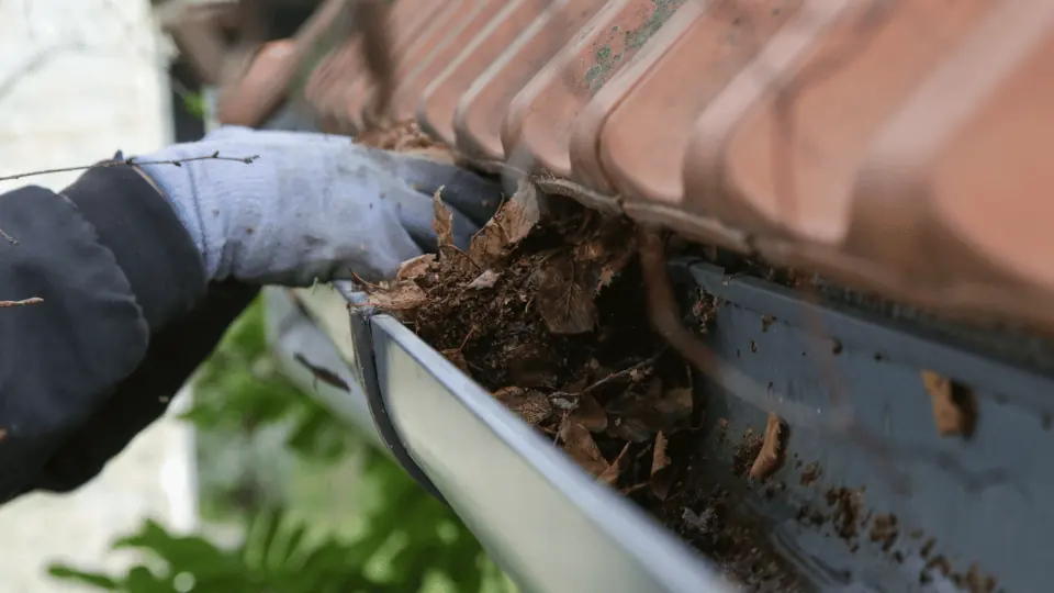 House gutter with leaves and debris ready for clearing